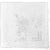 Women's Handkerchief White Fine Cotton 13 X 13 Inch Floral Whitework Embroidery